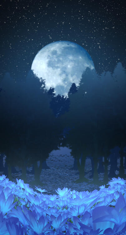 Blue Flower Field Background